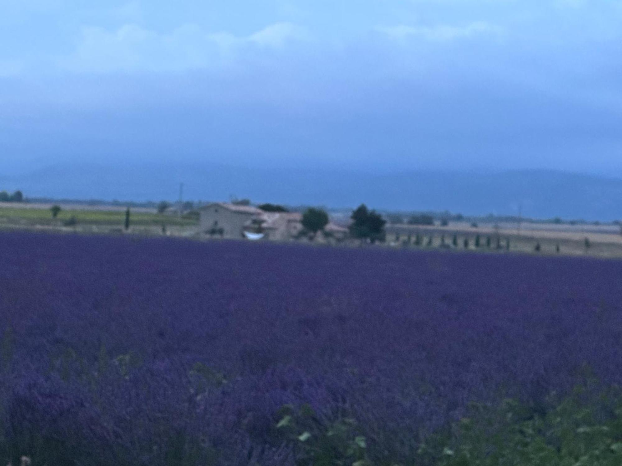فندق Domaine D'Angouire موستيه سانت ماري المظهر الخارجي الصورة