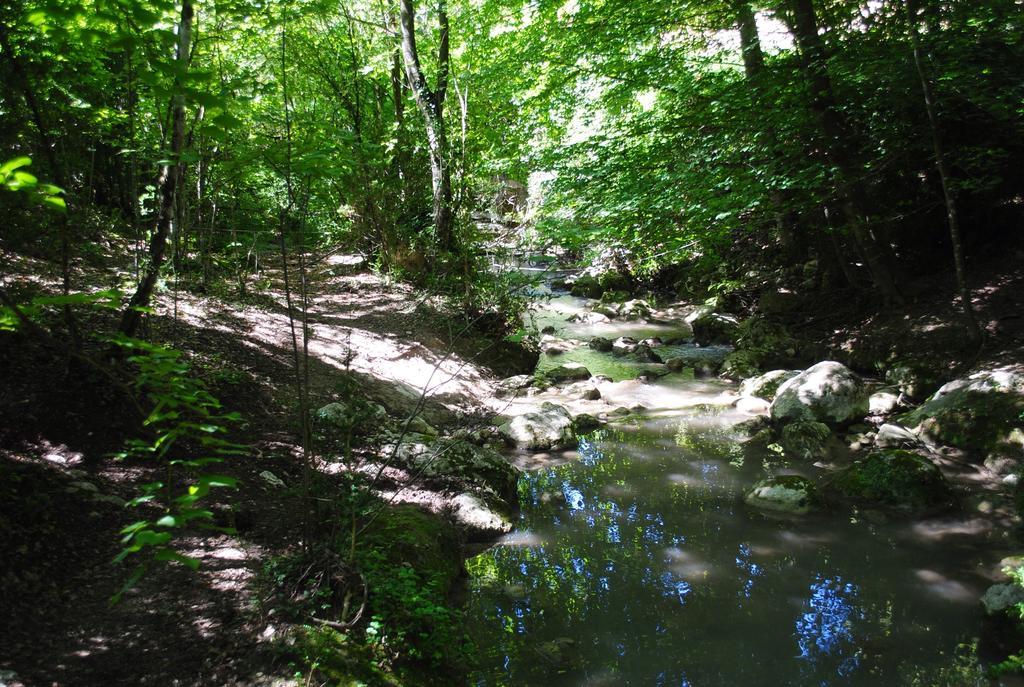 فندق Domaine D'Angouire موستيه سانت ماري المظهر الخارجي الصورة