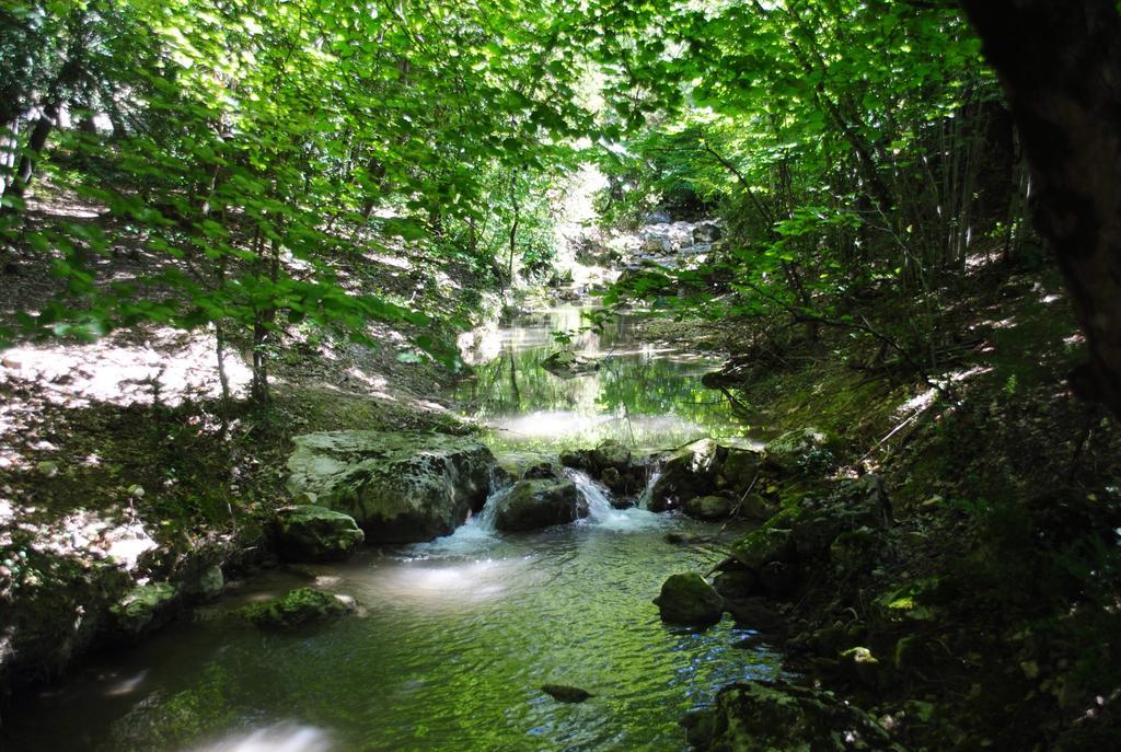 فندق Domaine D'Angouire موستيه سانت ماري المظهر الخارجي الصورة