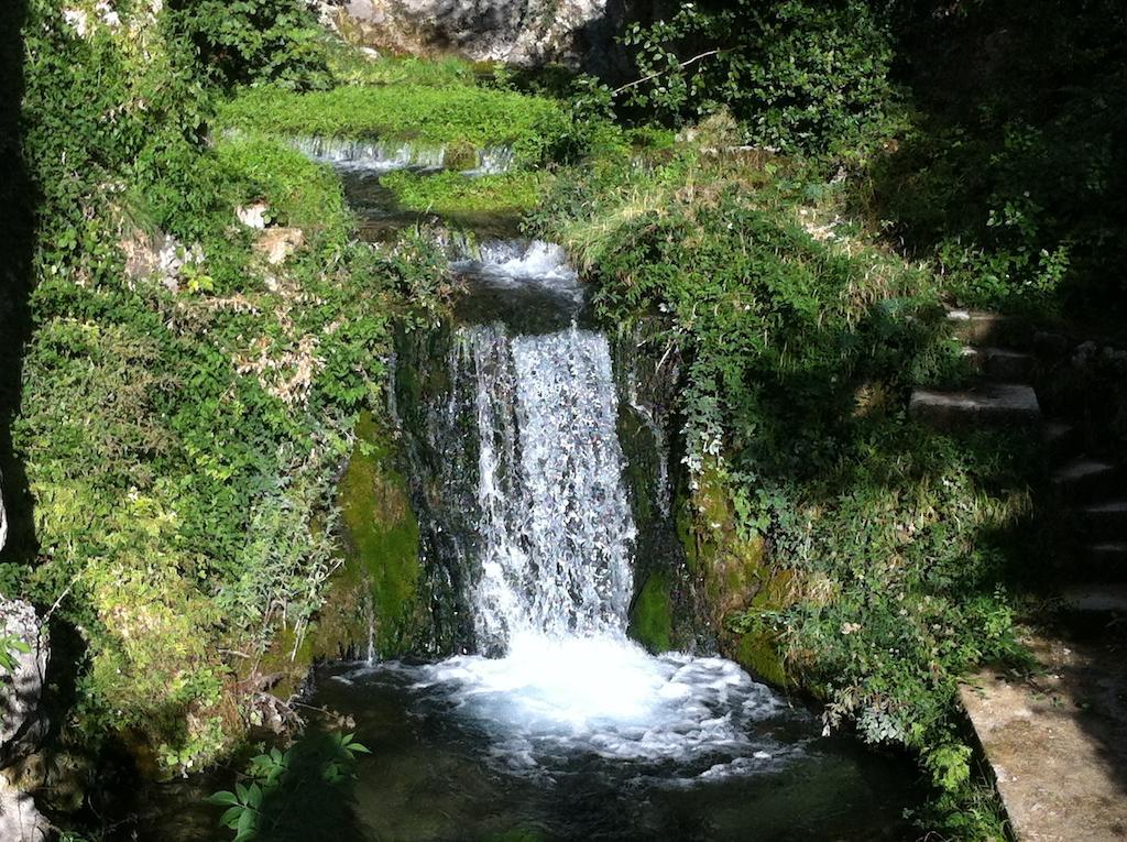 فندق Domaine D'Angouire موستيه سانت ماري المظهر الخارجي الصورة