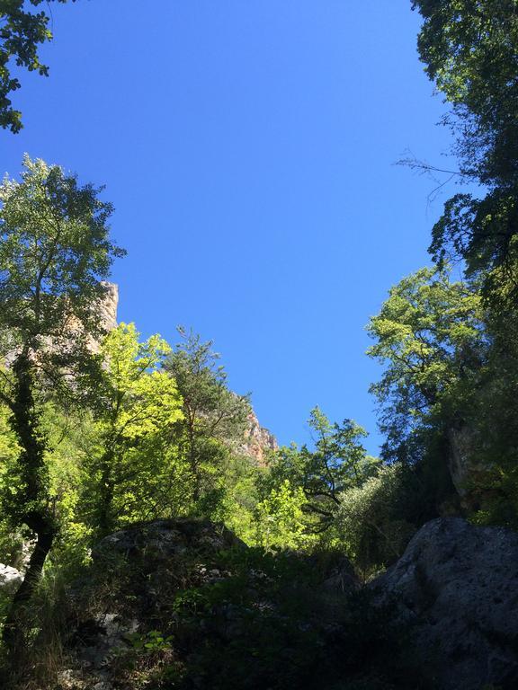 فندق Domaine D'Angouire موستيه سانت ماري المظهر الخارجي الصورة